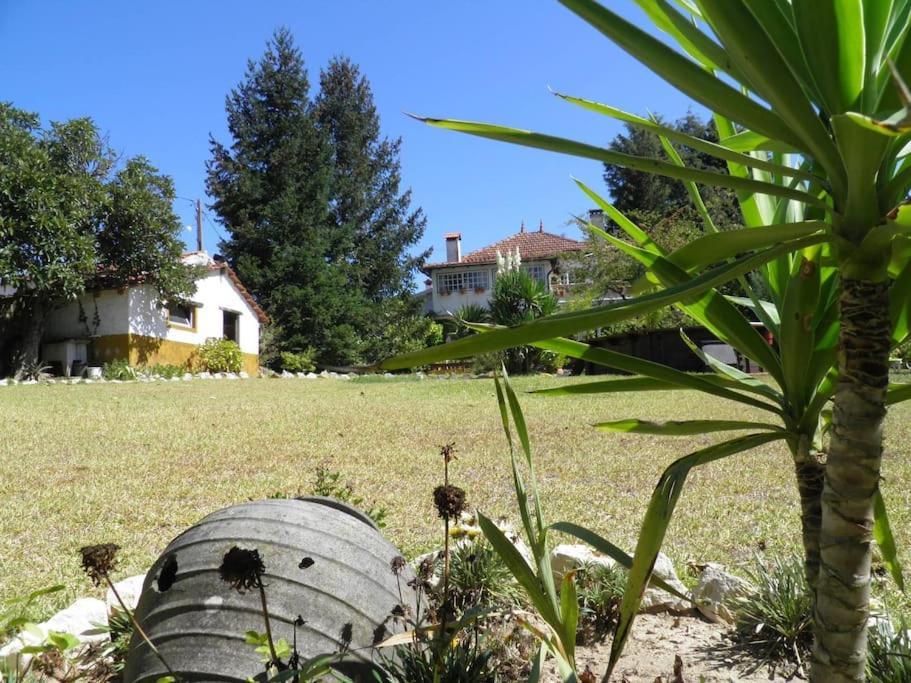 Villa Atlantic Nest Poiares Vila Nova de Poiares Esterno foto
